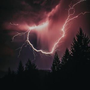 Meet your Posher, Teresa